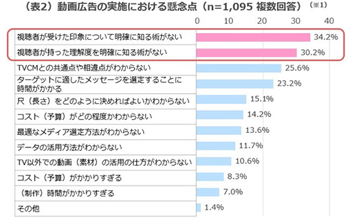 （表2）動画広告の実施における懸念点
