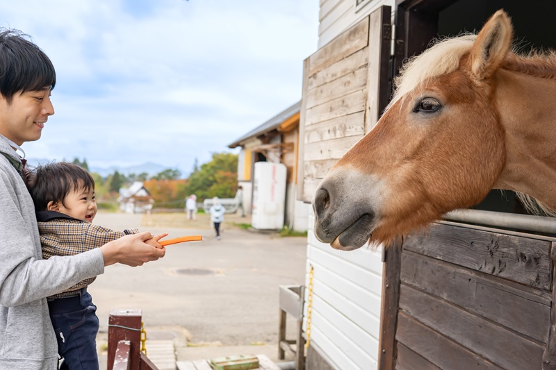 【2026年】アクティビティ検索予約